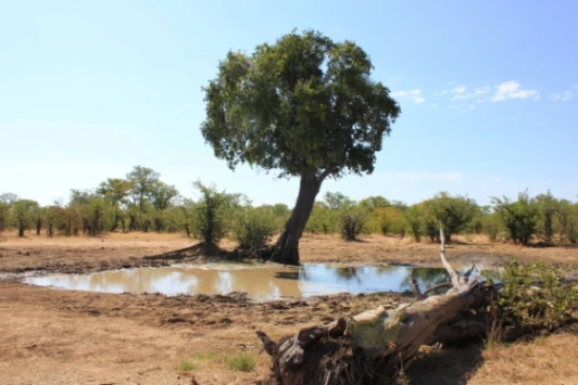 Hwange National Park Ansicht