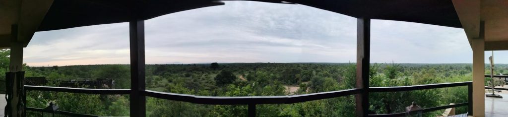 Safari panorama