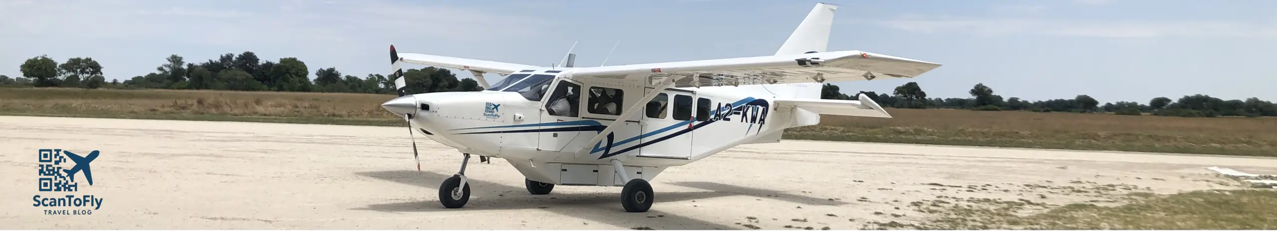 ScanToFly_flugzeug_logo