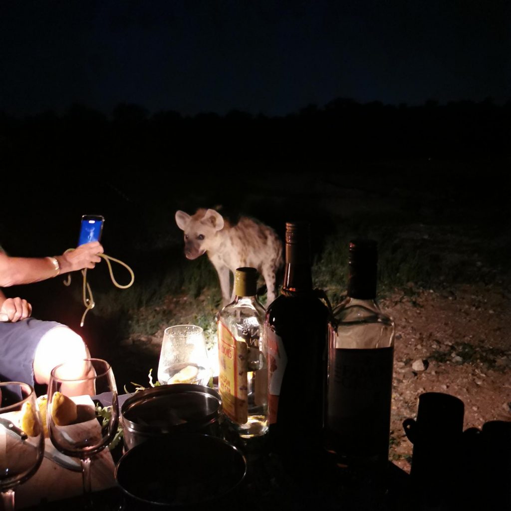 hyenas for sundowner