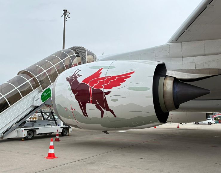 A350 Lausanne Triebwerksbemalung